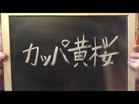 カッパ黄桜(CM曲)／ゆるゆる楽器演奏