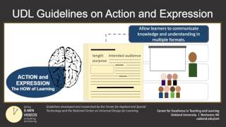 Universal Design for Learning (Part 5): Action and Expression Strategies