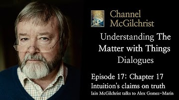Understanding The Matter with Things Dialogues Episode 17: Chapter 17 Intuition