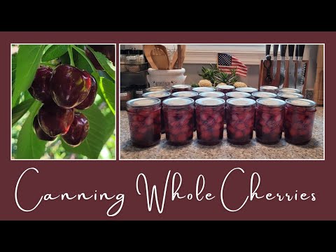 Canning Whole Cherries: