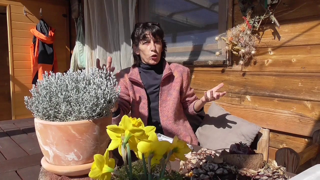 Cassoni e Huegelkultur