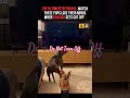 Let's Twist The Hip 😂😜 #viral #viral shorts #techsujeet