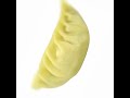 Start your gyoza dumplings business now!
