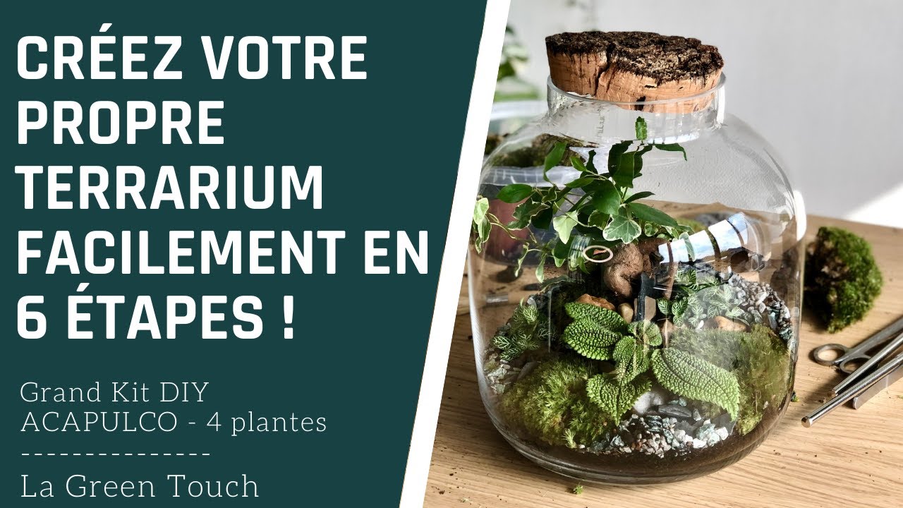 Tutoriel DIY : Créez votre propre terrarium facilement en 6 étapes