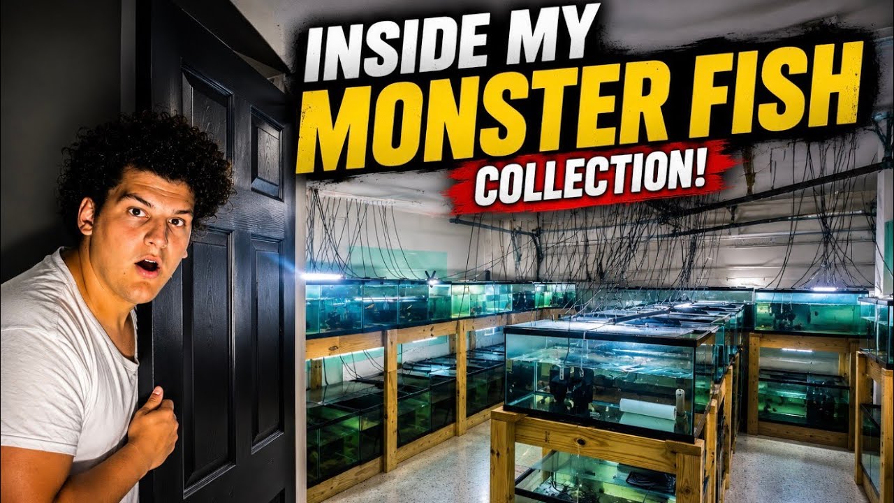Inside My ENTIRE Monster Fish Collection!