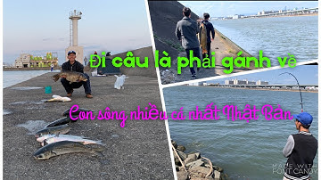 Câu cá ở con sông nhiều cá nhất Nhật Bản, đi câu là phải gánh về