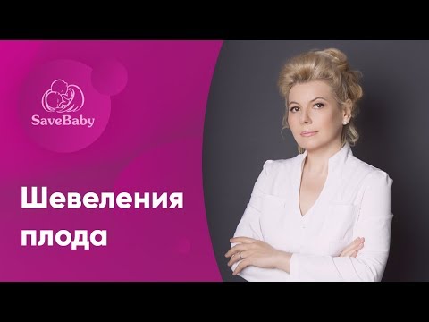 Шевеления плода. Елена Никологорская. Акушер-гинеколог. СПб
