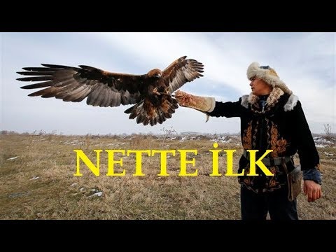 Kartal ile Avlananlar | Türkçe Dublaj_Nette İlk