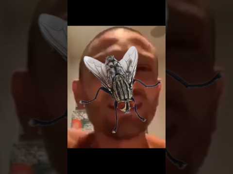 بتخانق مع دبان وشي حرفيا الفترة دي   ضحك
