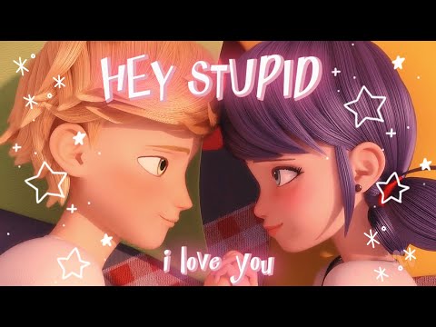 Hey Stupid, I Love You| Marichat & Adrienette | Miraculous Love square AMV