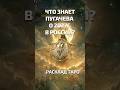 Ирида Фортуна Таро онлайн. Что знает Пугачева о 2027 году в России?