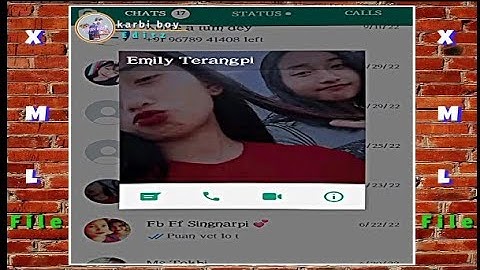 Introduction my friends in my WhatsApp number 🦋 || alight motion Xml file♻️ || Link ⤵️