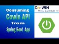 Covid-19 Vaccination APIs (Cowin) Spring Boot Application | Rest API | Spring Boot | Swagger | Java