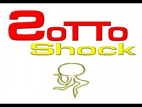 SHOCK 2001 TATANKA DJ MAD BOB VOX