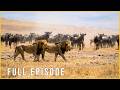 ISLANDS OF INSTINCT - A Fragile Balance in the Delta Wilds (Full Episode)