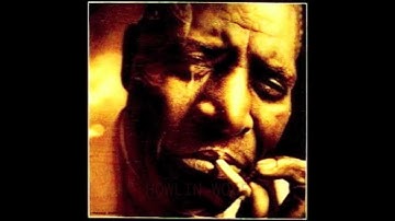 HOWLIN WOLF COMMIT A CRIME