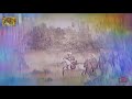 Padmavati what's app status video song,padmini johar swabhiman song Whatsapp Status Video Download Free