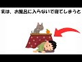 睡眠のための雑学まとめ