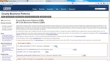 Using dataZoa with Business Patterns Data from the US Census