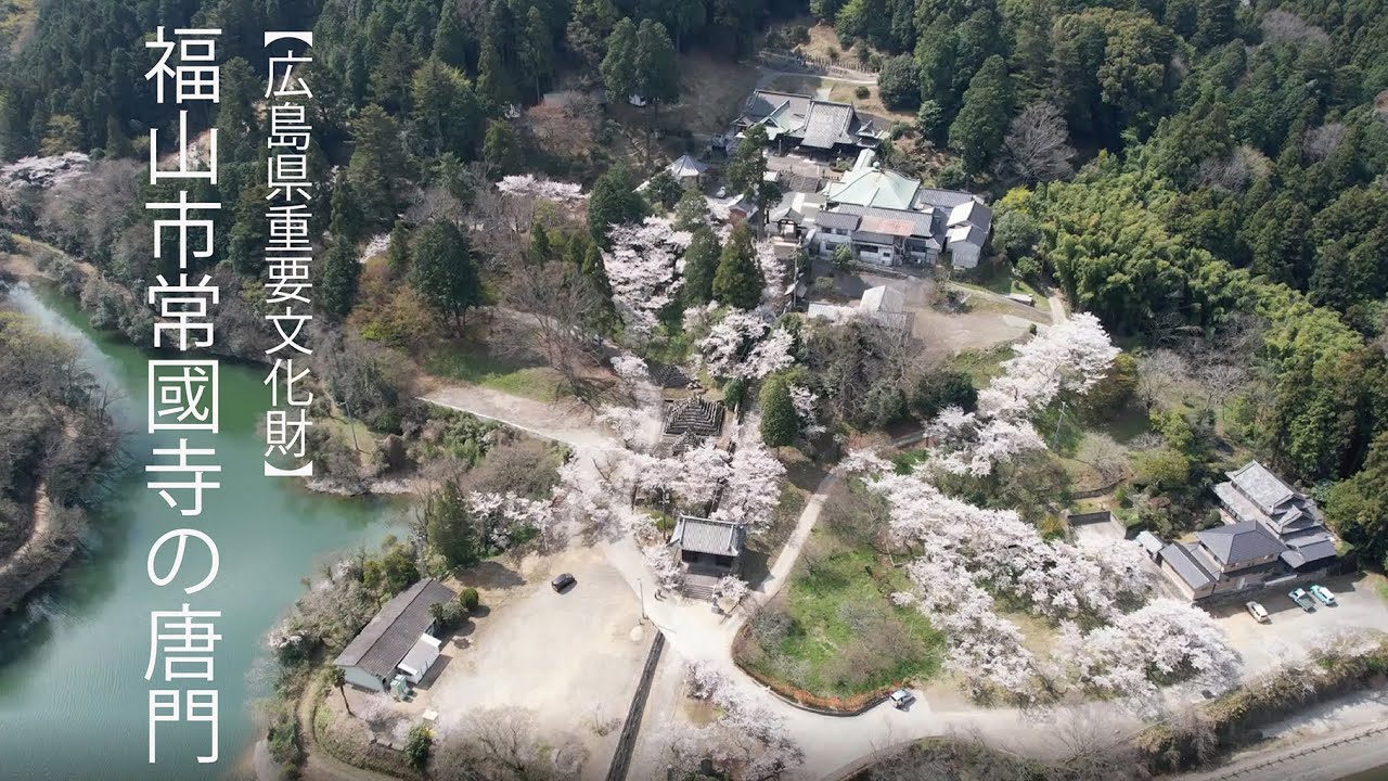 【広島県重要文化財】福山市常國寺の唐門