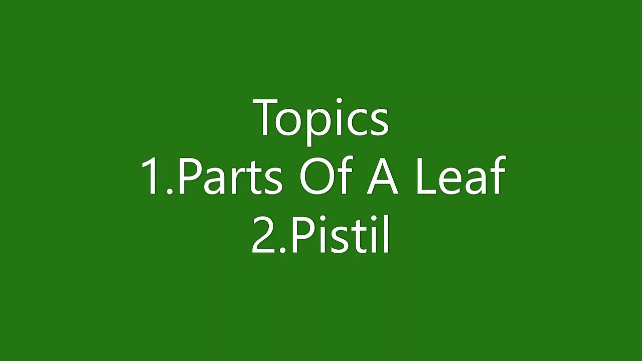 Getting To Know Plants Parts Of A Leaf And Their Definitions And Pistil 