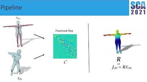 A functional skeleton transfer - SCA 2021 abstract trailer