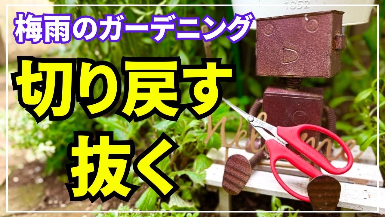 This video shows how to prune 17 types of plants and remove winter