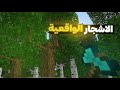 مود الاشجار الواقعية من ميديا فاير ايرث كرافت 