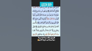 سورة محمد الايه 16 فارس عباد