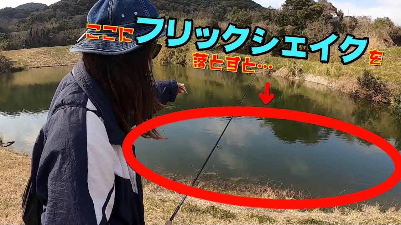 バス釣り フリックシェイクはやっぱり最強だった Youtube