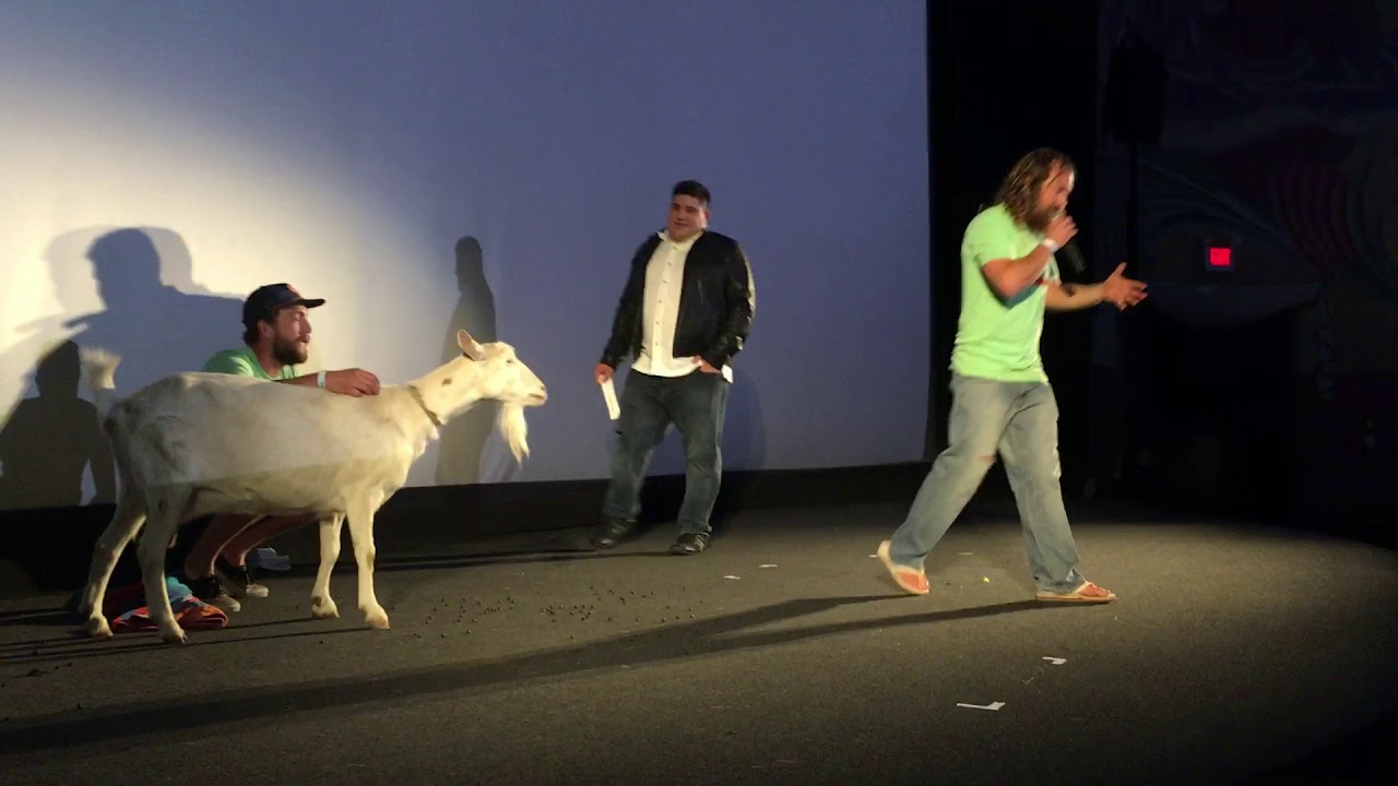 Surf Film Festival YouTube