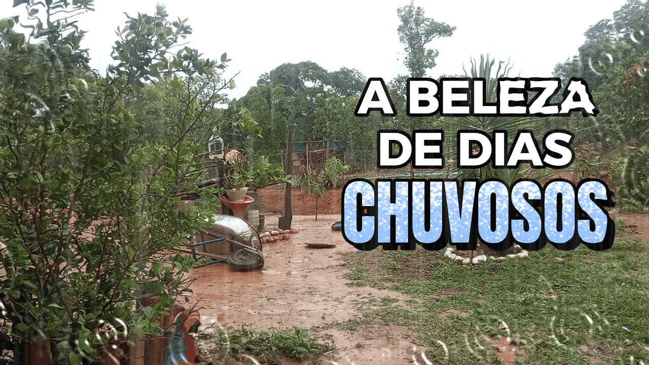 A Beleza De Dias Chuvosos Na Roça