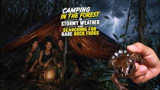 Camping in a Violent Storm & Night Hunting Rare Rock Frogs in the Jungle