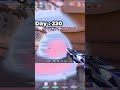 Day 220 of valorant noob to pro journey