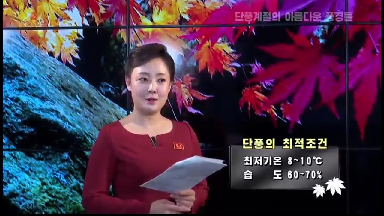 금강산 등 북한의 단풍, 가을 절정을 알리는 신선계의 풍경들 / Healing Time, Autumn leaves in North Korea