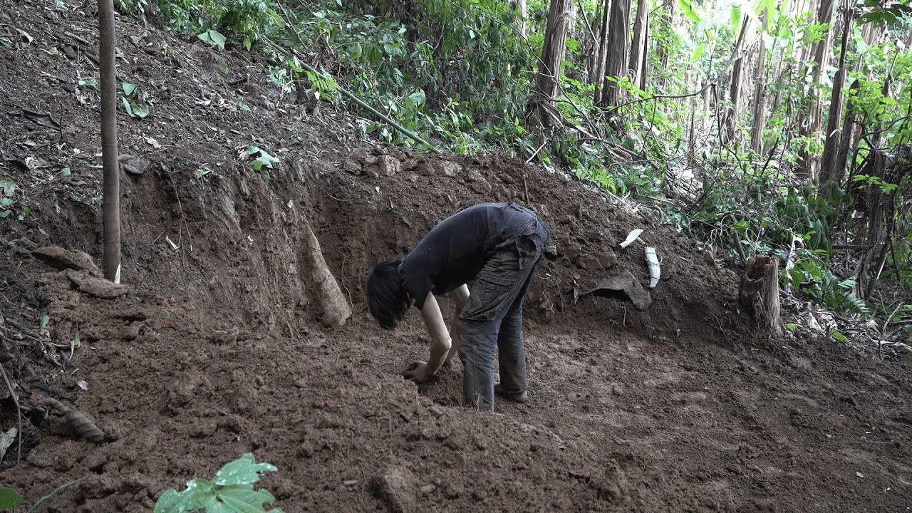 Dig deep into the ground to make a cold-proof cellar for the winter ...