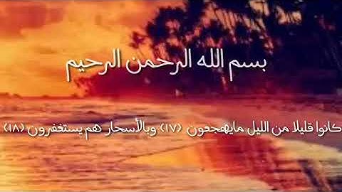 تلاوة رائعة للقارئ انس الشهاب حالات واتس اب قرآن كريم part1 6