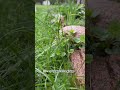 Красота природы #house #построилидомиквдеревне #деревенскаяжизнь #diy #природа #деньвдеревне