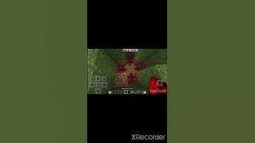 Minecraft:Elytra Launcher Tutorial #minecraft #shorts #viral