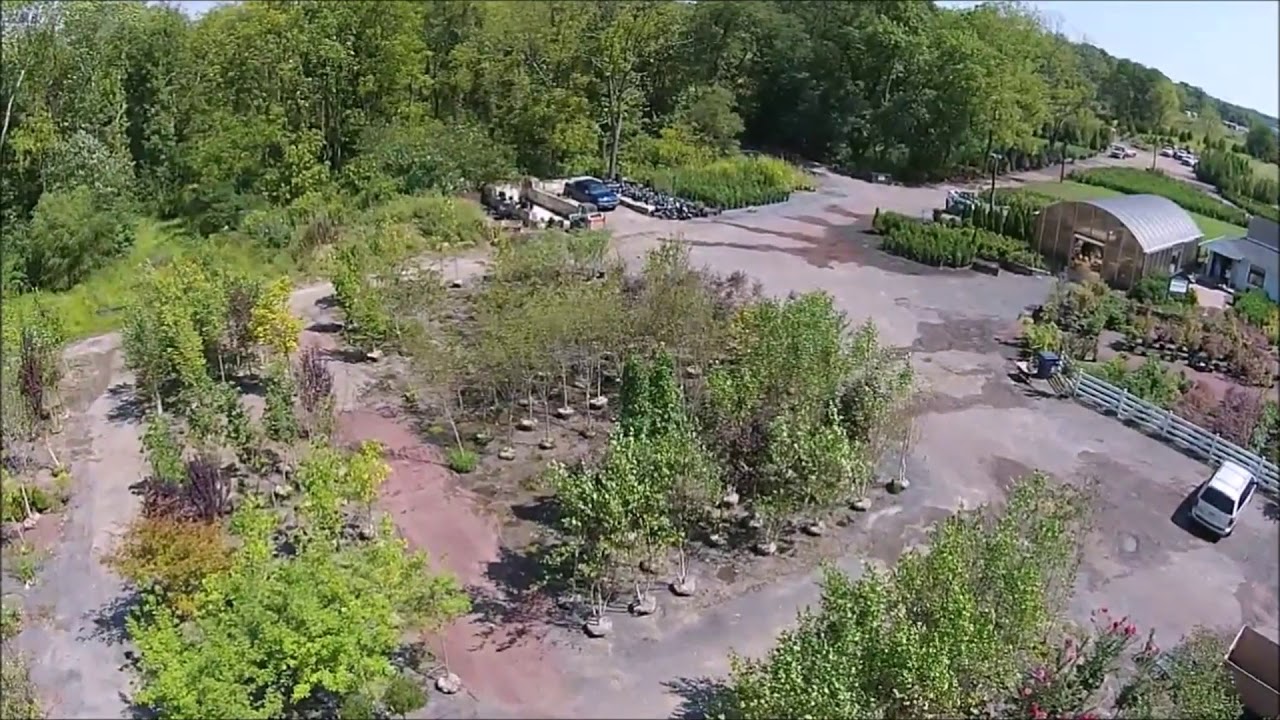 Overflight of our Bucks County Tree Farm - YouTube