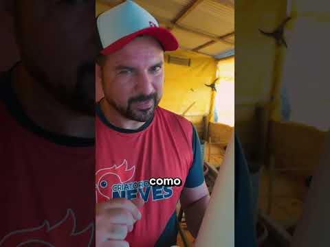 ESSE COMEDOURO VELHO ESTÁ COMENDO SEU DINHEIRO