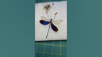 Damselfly #taxidermist #entomology #insects #insectcollection #foryou
