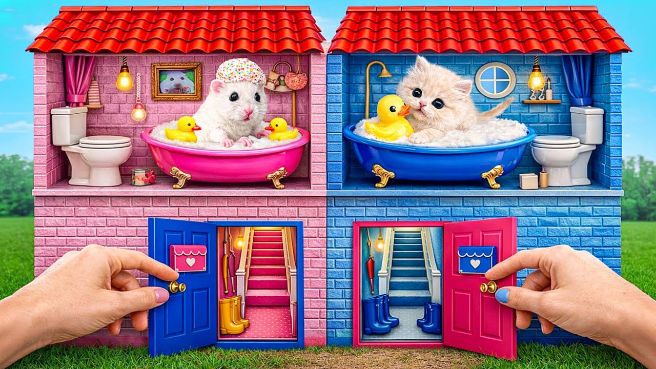 Мы Построили Маленький Домик для Животных | Удивительные Лайфхаки и Хитрости от Multi DO Smile