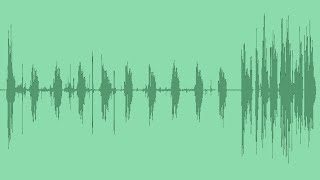 Vinyl Record Sound Effects