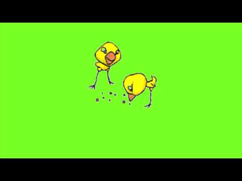 Футаж на хромакее