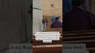 NOVUS ORDO Dogs and so much more