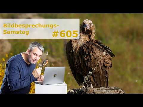 Bildbesprechung 605