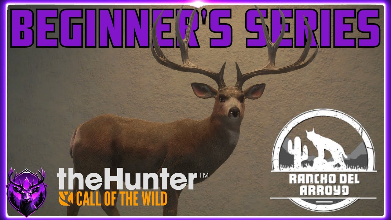 A Beginner's Guide to Rancho Del Arroyo in 2025