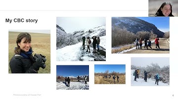 125 Years of Audubon