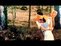 ハイロウズ『夏の朝にキャッチボールを』Live音源